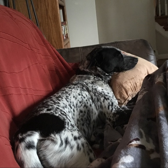 Meet your Posher, Kathryn - Picture 1 of 1